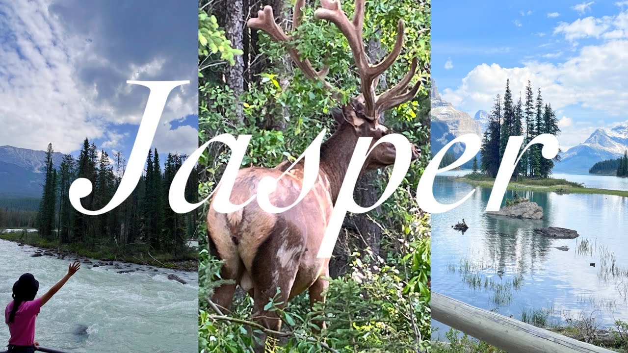 🍁캐나다 여행: 밴프 재스퍼1 - 재스퍼 국립공원- 곤돌라 타기, 아름다운 호수와 폭포, 야생 곰과 엘크!! 아이스 필드에서 빙하 물 마시기💧