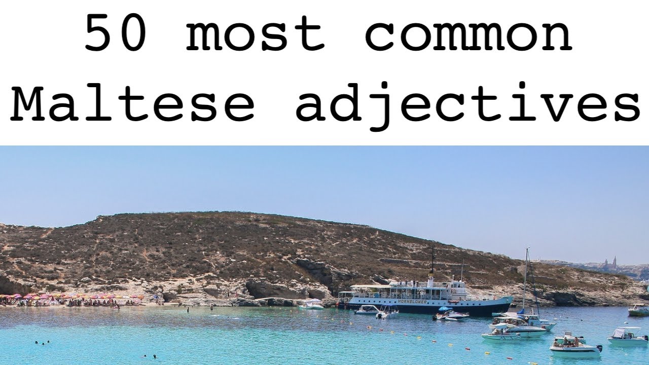 Maltese adjectives: the 50 most used