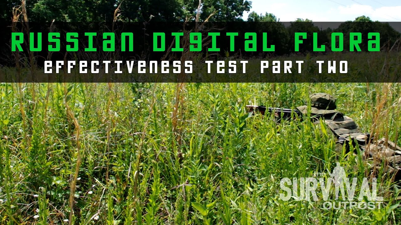 Russian Digital Flora Camouflage - Effectiveness Test Part 2