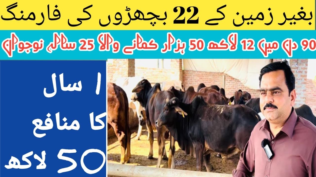 How to Vacha Farming 2023| Small Bachra Business ideas Plan | Short term Business