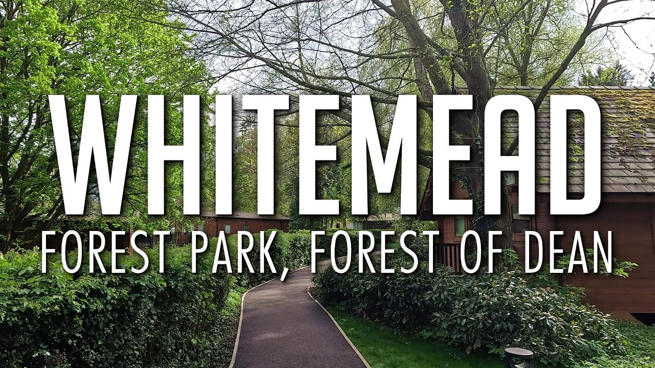 Whitemead Forest Park, Forest of Dean | Lodges | Park | Restaurant | Surrounding Areas