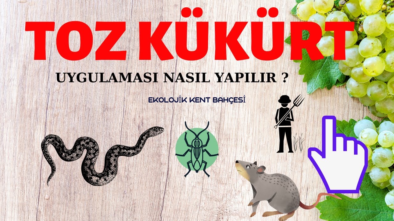 TOZ KÜKÜRT UYGULAMASI NASIL YAPILIR ?