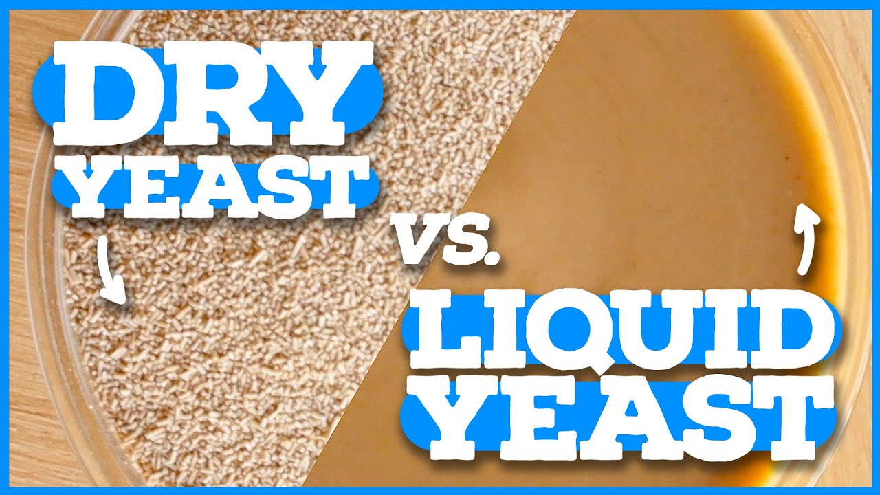 DRY YEAST VS LIQUID YEAST - Home Brewing Beginner's Intro to Yeast