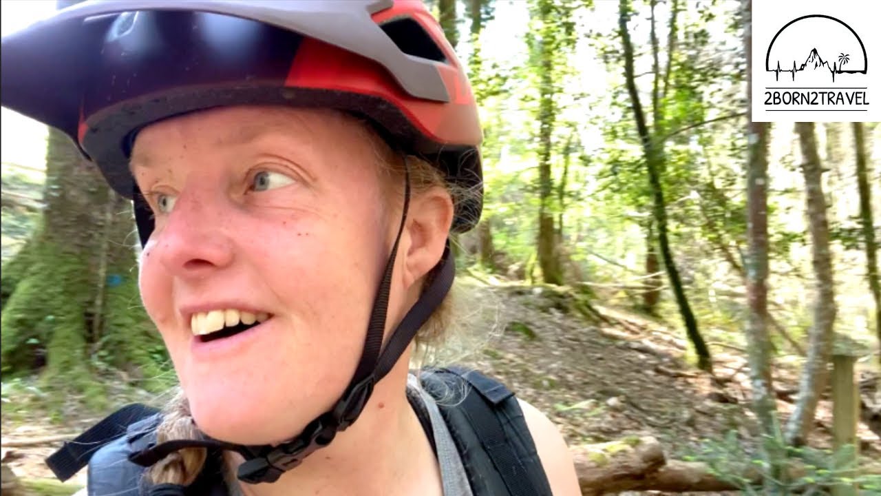 Haldon Forest off Piste Trails || Fun in the SUNSHINE