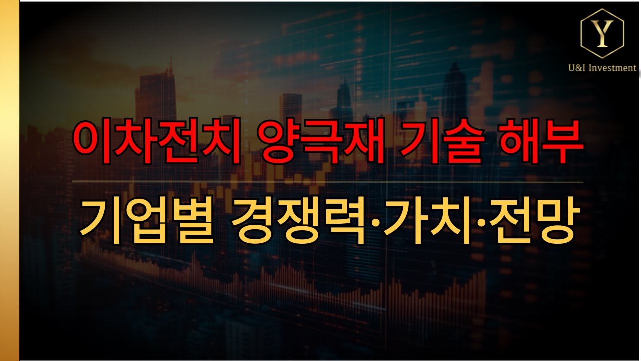 이차전지 양극재의 모든 것: 하이니켈 기술 이해부터 주요 기업 (포스코/에코프로/엘앤에프) 핵심 경쟁력 분석까지