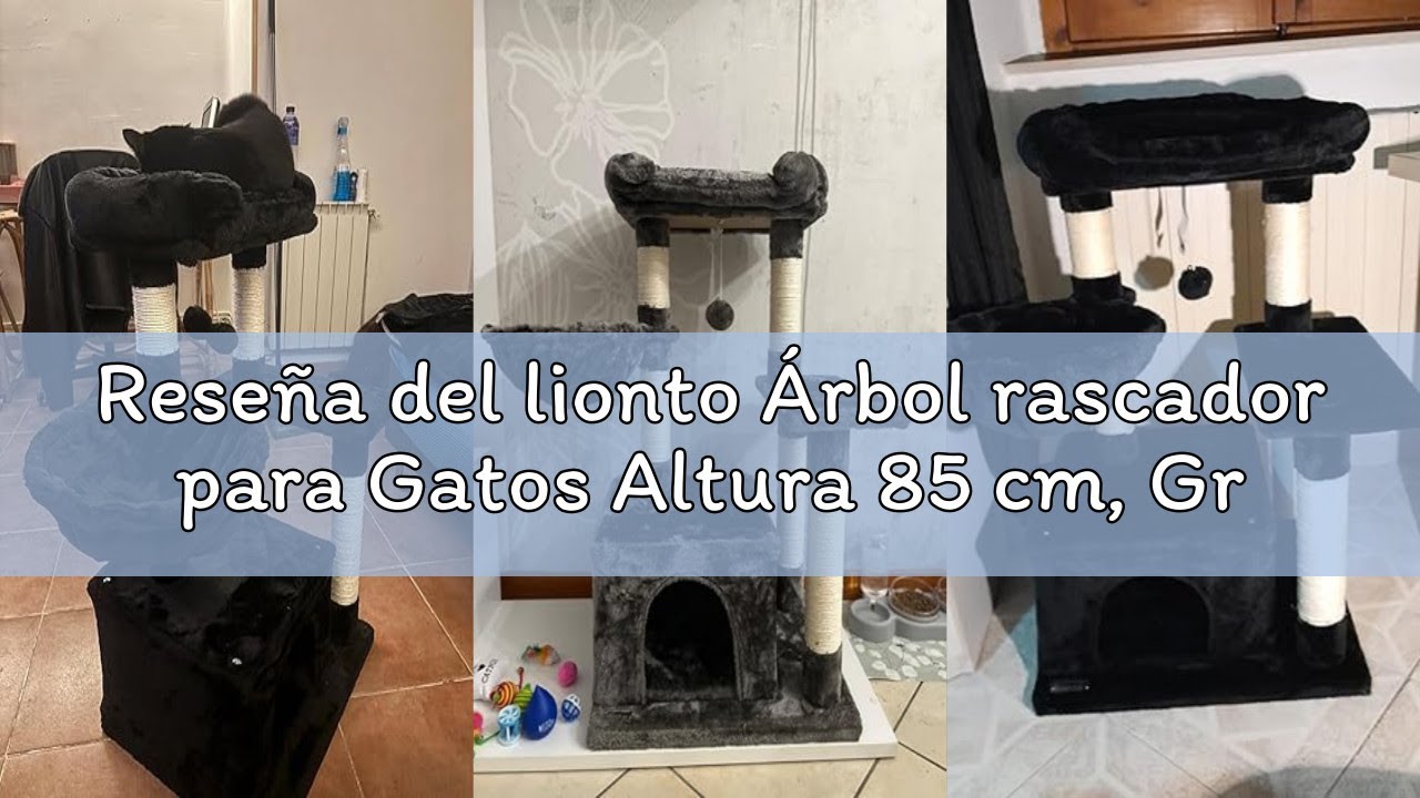 Reseña del lionto Árbol rascador para Gatos Altura 85 cm, Gris Oscuro