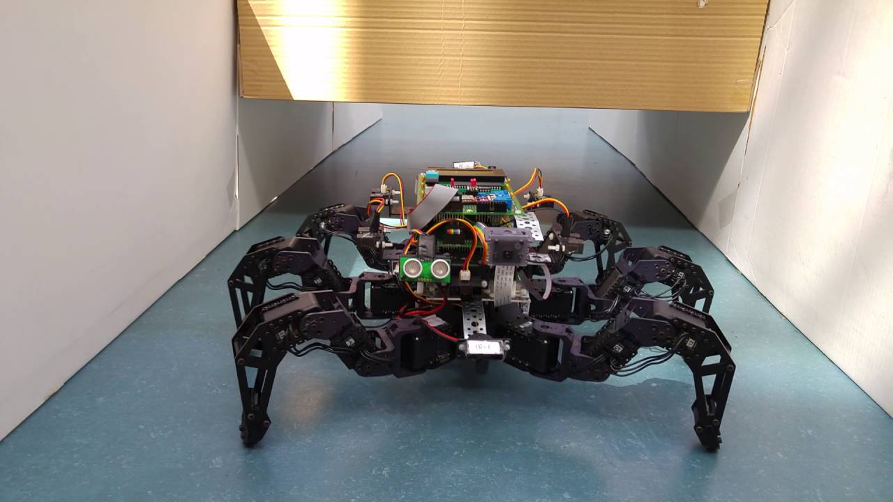 Spider Pig - Autonomous Hexapod Robot (Bachelor Thesis Project, Linköping University)