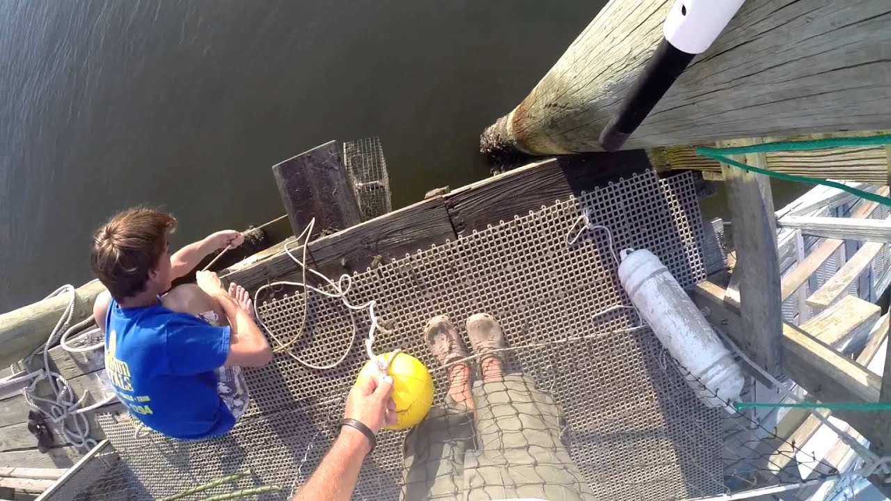 3 Ways To Catch Blue Crabs Off Dock Coosaw Island Sc