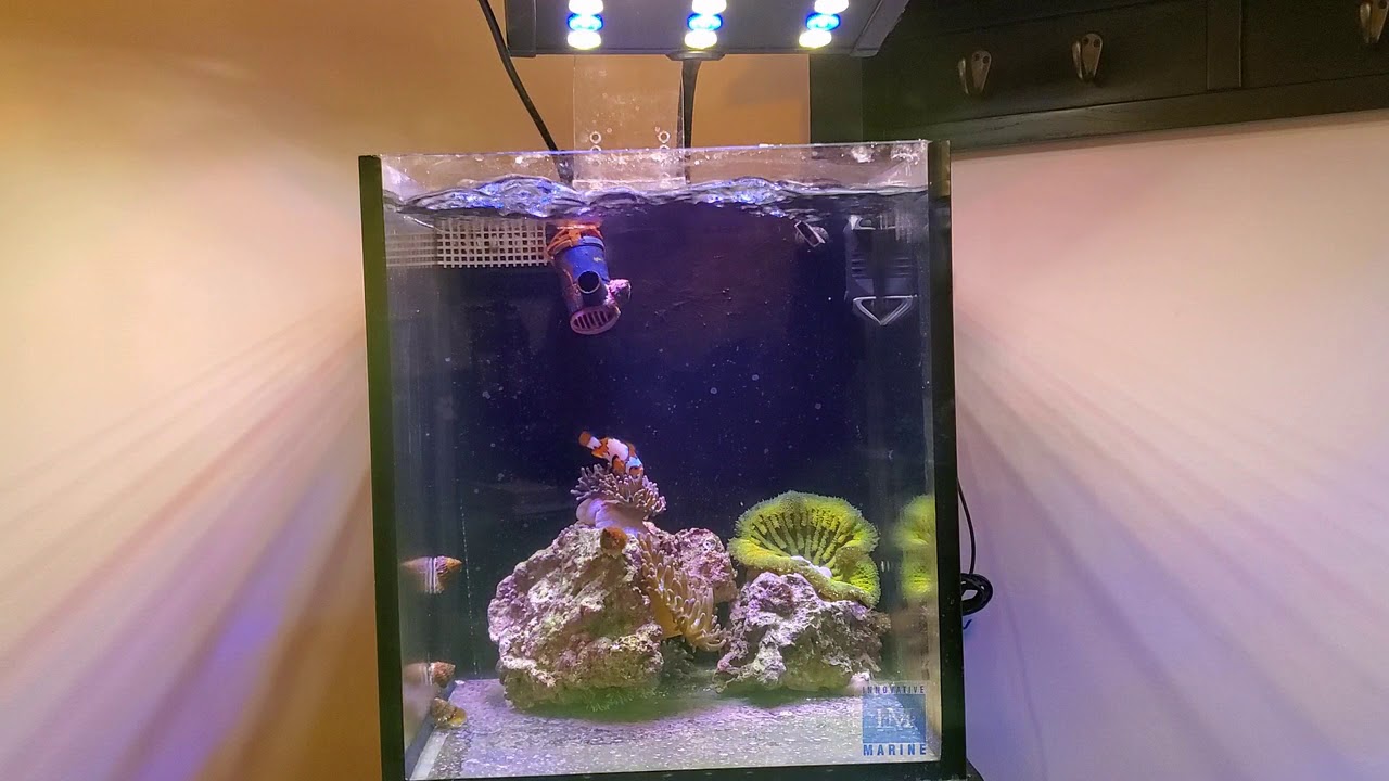 Zetlight ZA 1201-L Nano LED Light 2 Year Review