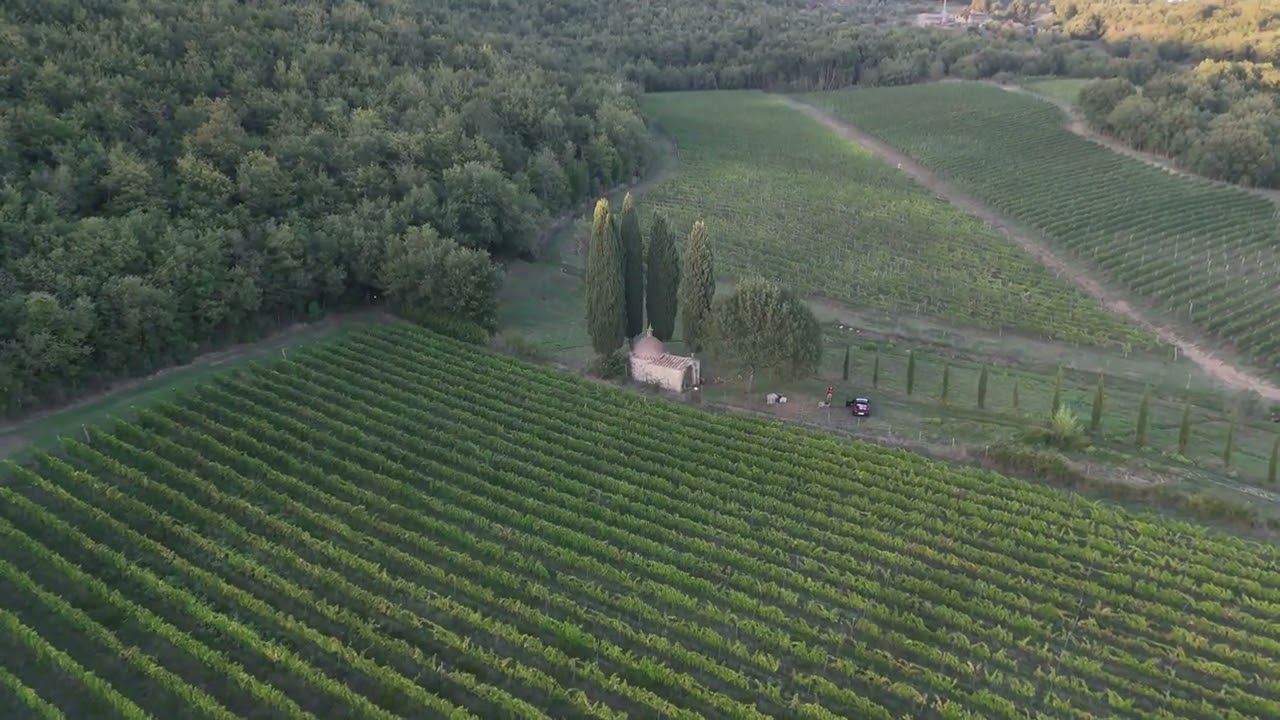 Cappella dei Pesci (Badia a Passignano)
