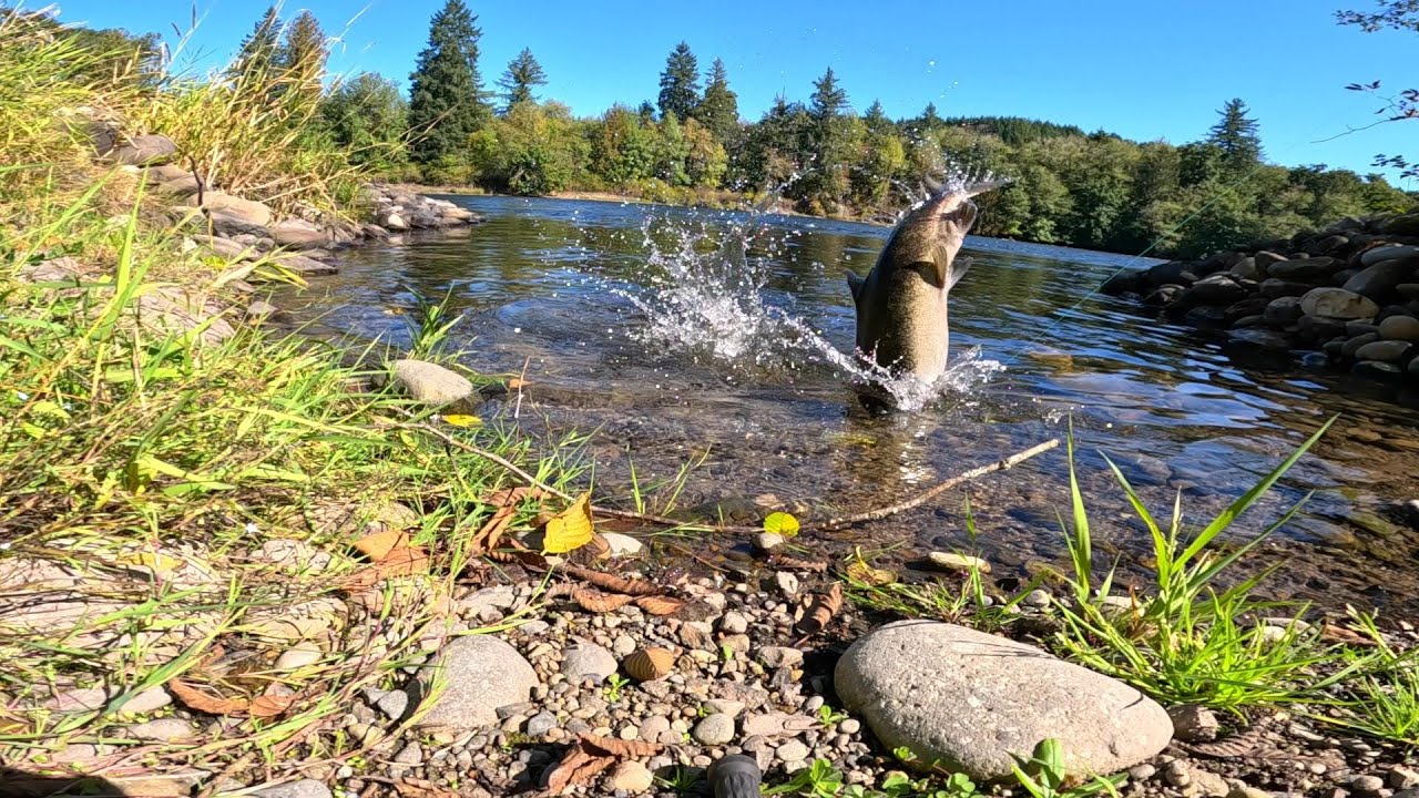 Cowlitz River Bank Fishing