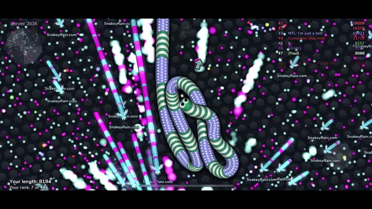 Slither Io weird glitch from “SnakeyRain.com”