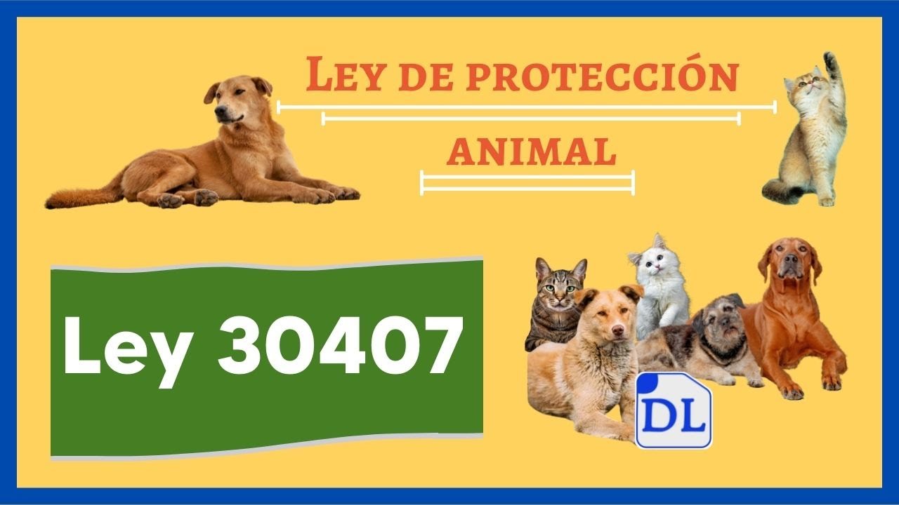 Ley de protección animal - Ley 30407 - Ley contra el maltrato animal