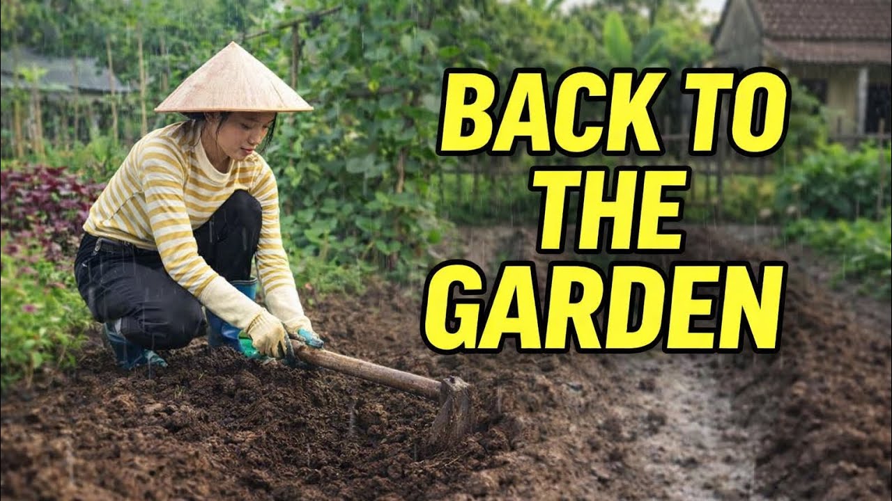Back to the Garden on a Rainy Day | Preparing the Soil for Planting Vegetables