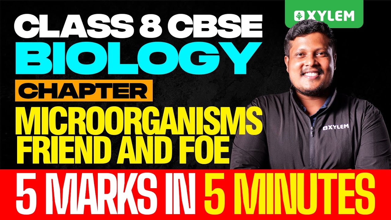 Class 8 CBSE Biology | Chapter : Microorganisms Friend and Foe | Xylem Class 8 CBSE