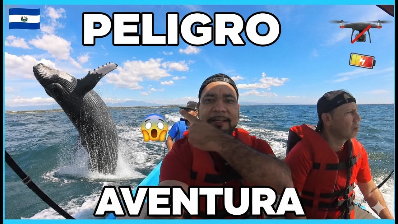 BALLENAS, PELIGRO Y AVENTURA