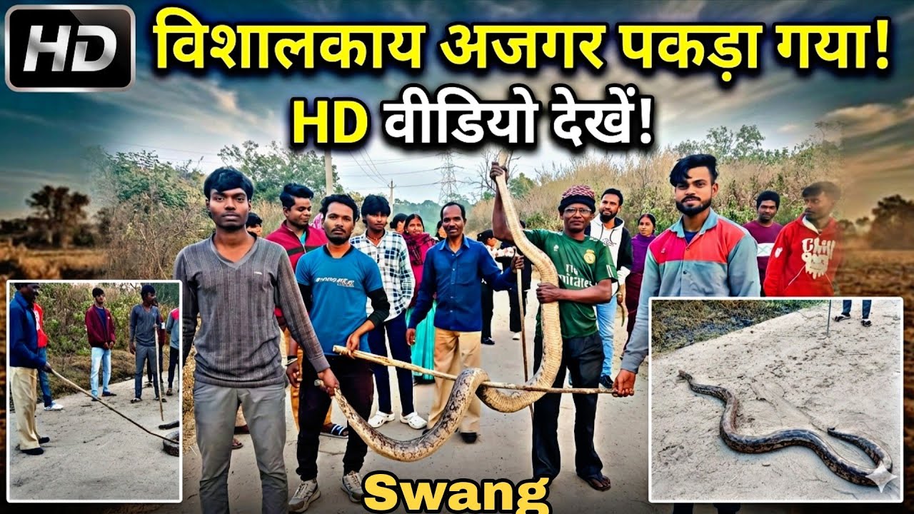 🐍 आज जंगल में हुआ खतरनाक अजगर का सामना #please #sports #my #youtube #channel 