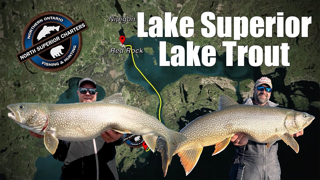 Amazing Lake Superior Lake Trout