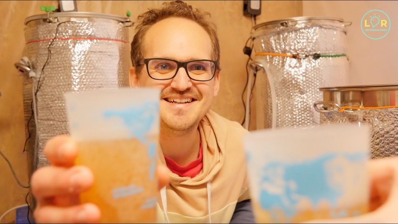 Secrets et histoires du kombucha : on a mis le nez dans les cuves !