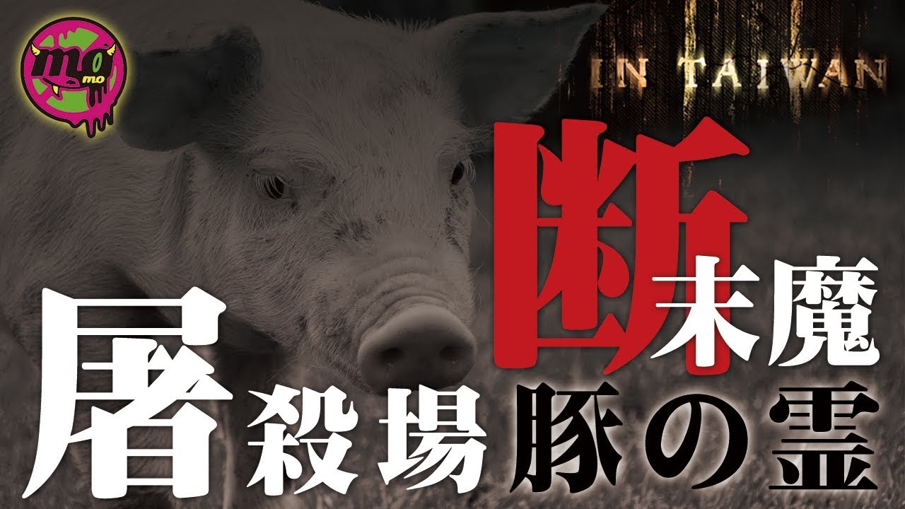 【心霊配信(怖い動画)】断末魔の叫び…台湾の屠殺場跡で『豚』の霊が…【全国心霊スポット配信の旅 in 台湾 #12】