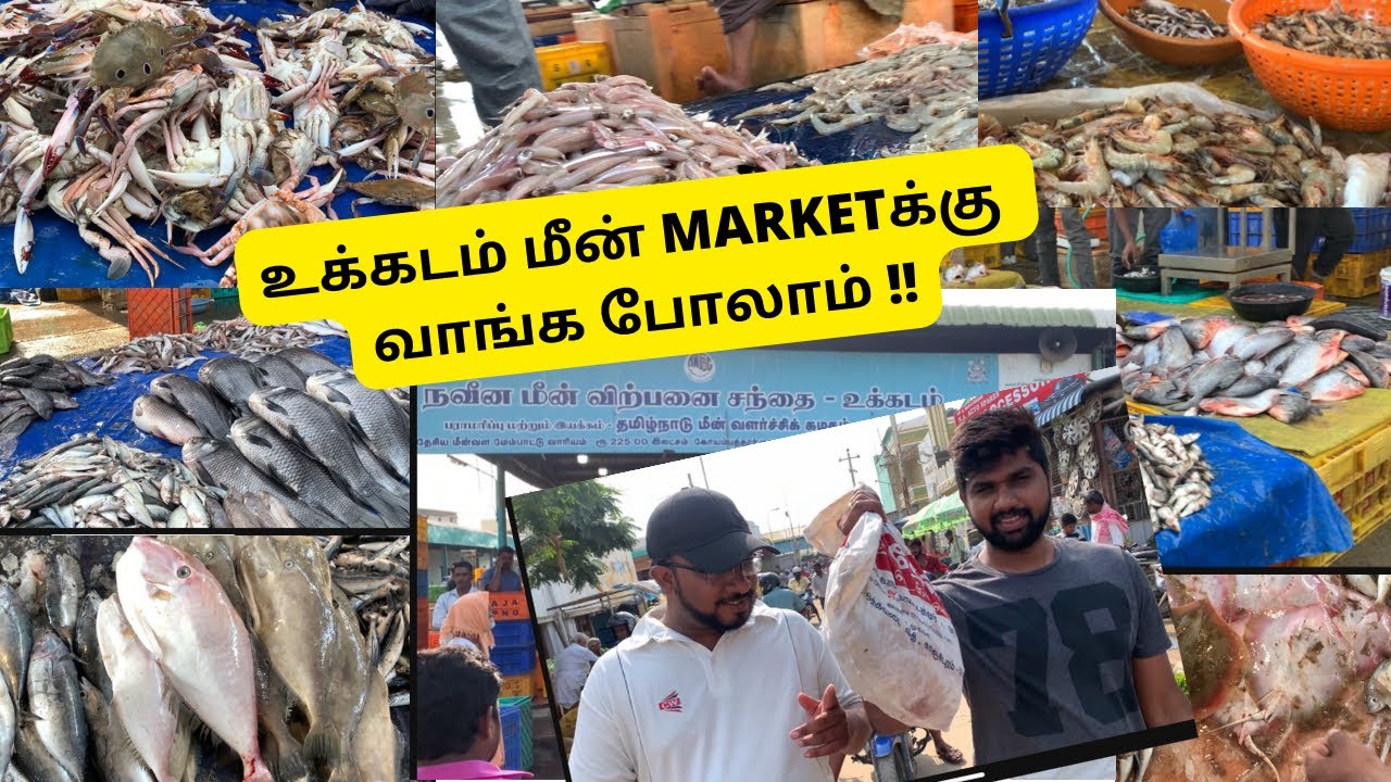 Ukkadam Fish Market | Wholesale Sea Food Market | World Environmental Day |Kovai Vlogs|#roamandtaste