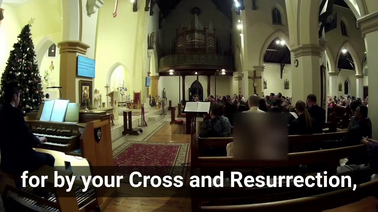 Mass of St Francis (Paul Taylor) - Save us, Saviour