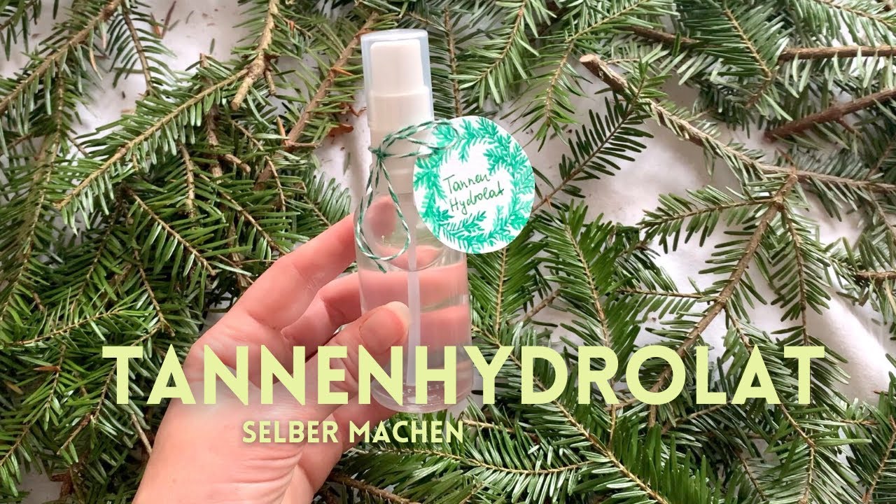 Natürlicher Tannenduftspray | Tannenhydrolat ohne Destille selbst gemacht