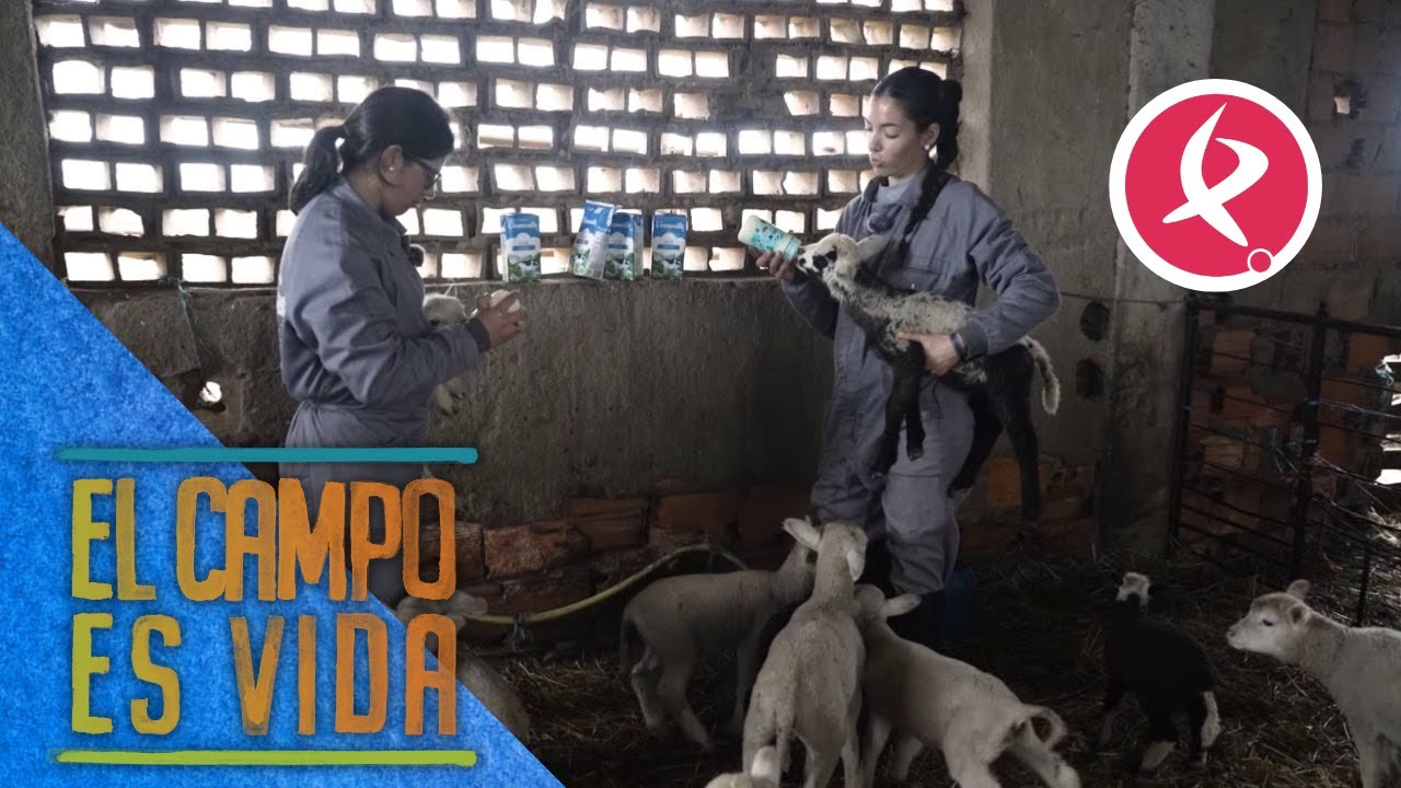 Isabel y Lidia son unas madres maravillosas | El campo es vida