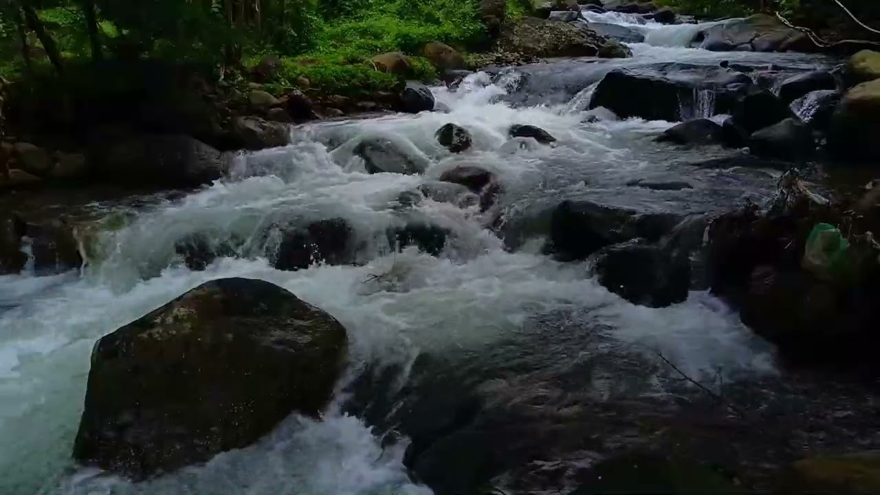 Stream Serenity for Meditation