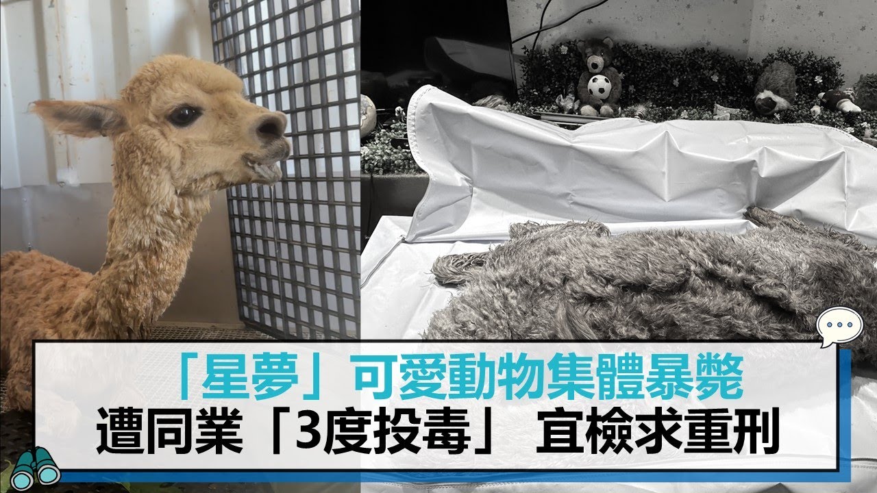 「星夢」可愛動物集體暴斃！遭同業「3度投毒」 宜檢求重刑【CNEWS】