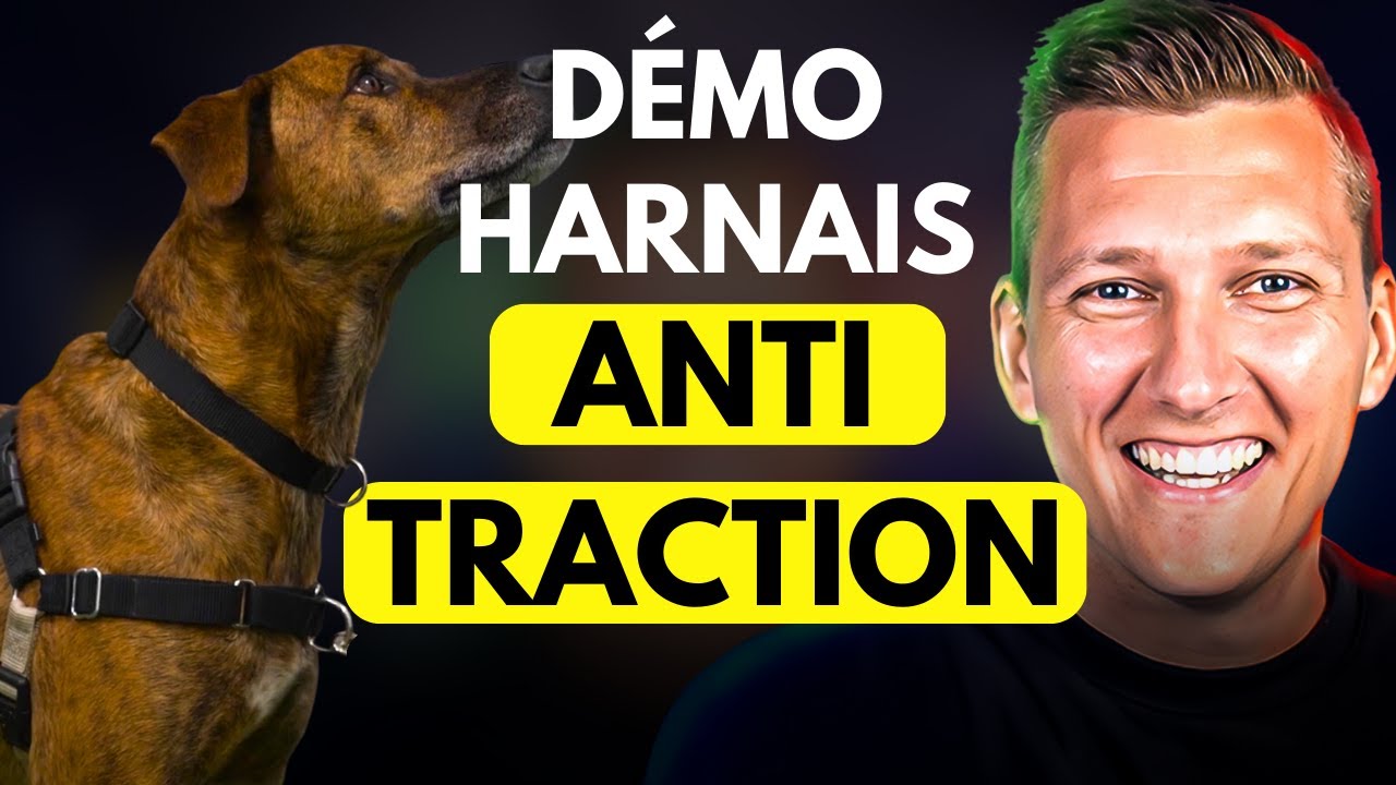 Comment Utiliser Un Harnais Anti Traction (tuto complet)