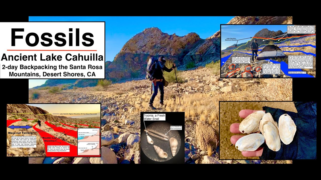 Fossils, Backpacking, & Exploring the Geology of Ancient Lake Cahuilla