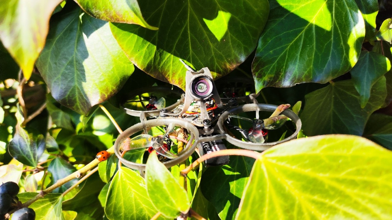 Air65 II Champion vs First Gen – Worth the Upgrade?