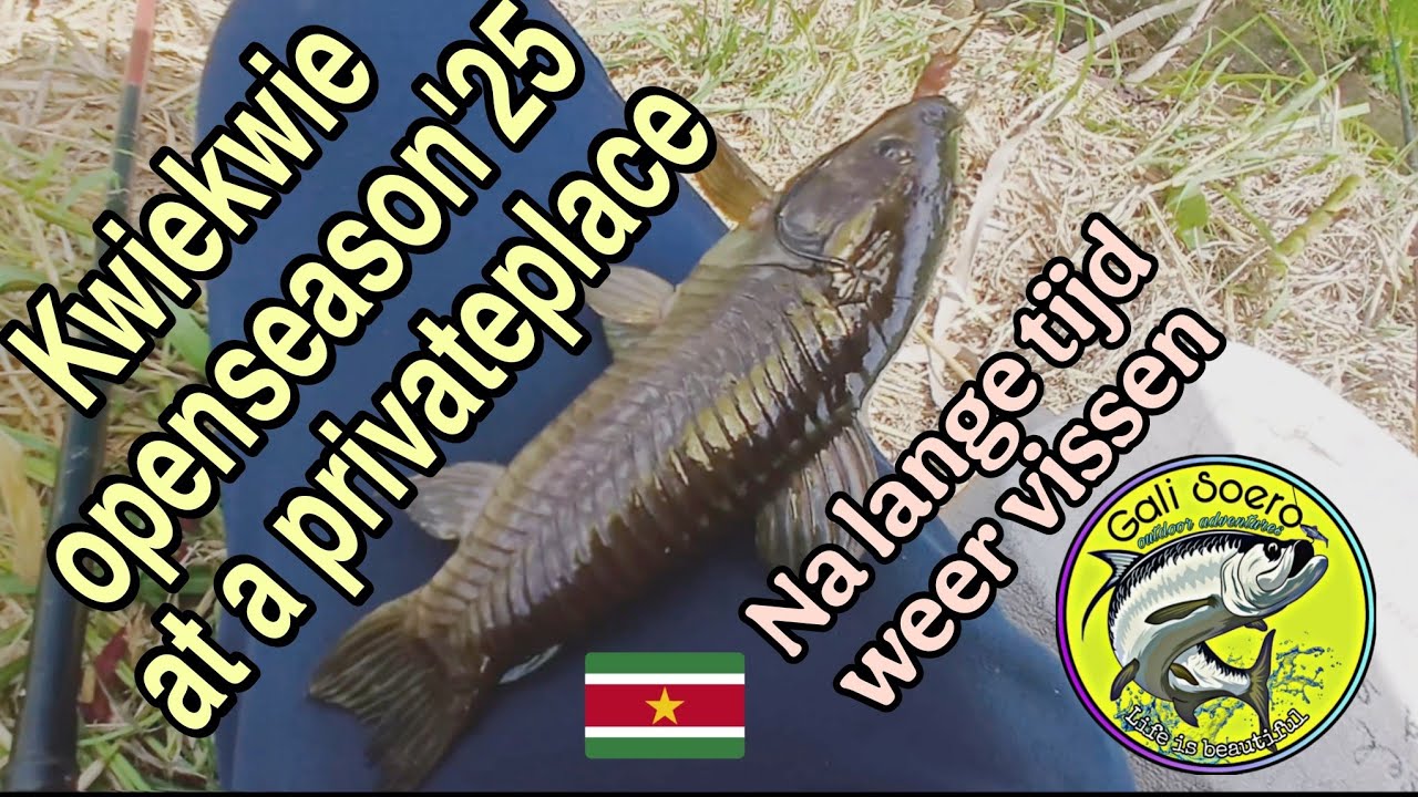 KWIE KWIE 🇸🇷 openseizoen '25, hengelen bij een privéplek.#suriname #guyana #hassa #cascado
