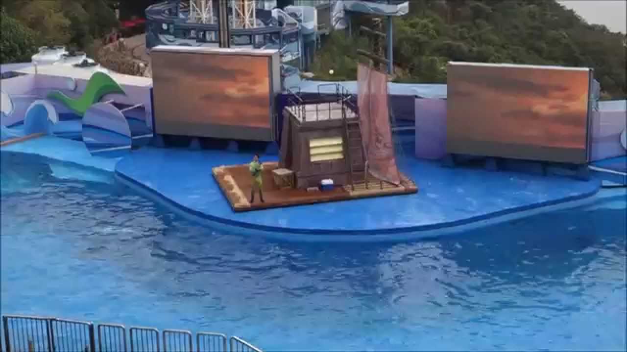 Ocean Park Hong Kong Ocean Theatre Dolphin Show