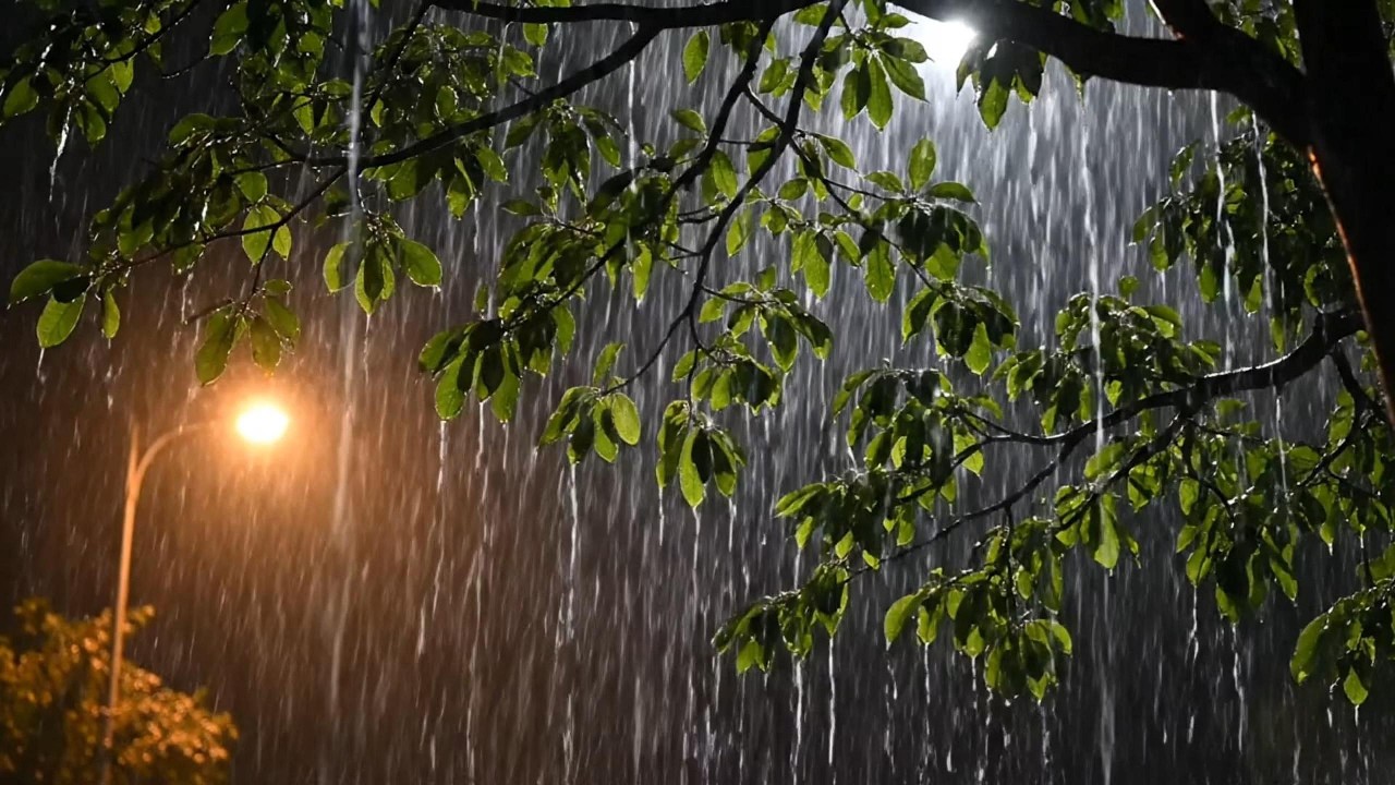 Heavy Rain at Night for Sleeping  ASMR  Rain Sounds for Insomnia & Deep Relaxation 1 hour