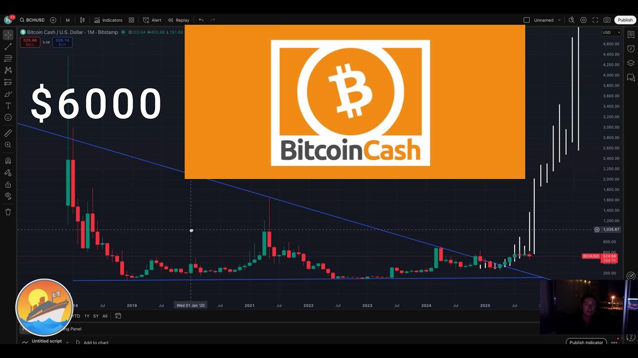 Bitcoin Cash above $6000 how and why #BCH