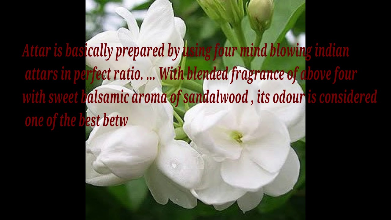 Menjewell Fragrances Majmua Real 9ML Floral Attar Rs.364/-