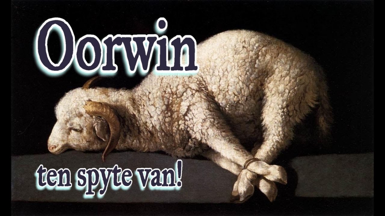 Oorwin ten spyte van! Ps 44, Rom 8 Ds Gustav Opperman GK Philippolis @WoordeuitsyWoning