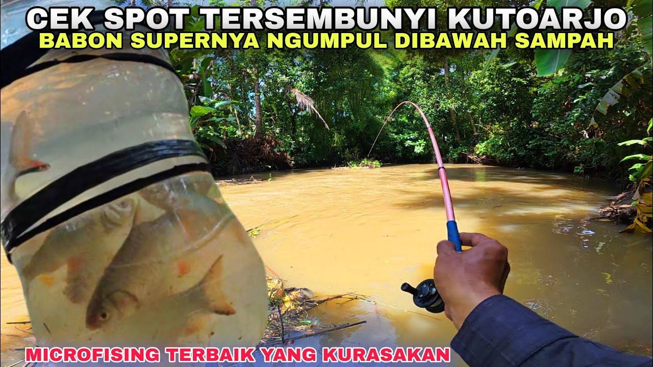 🍃SPOT TERSEBUNYI KUTOARJO MEMANG PENUH KEJUTAN💥TEGEK ENENGKU DIHAJAR BABON SUPER MS-576