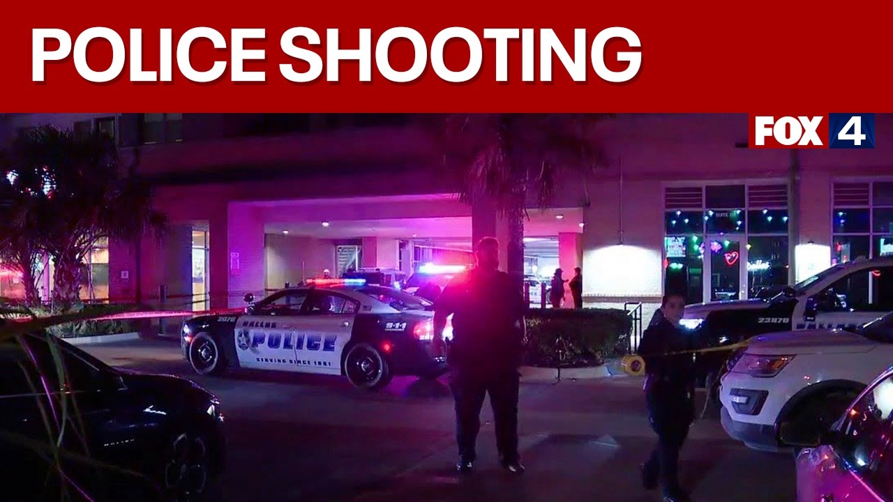 Dallas police fatally shoot armed suspect