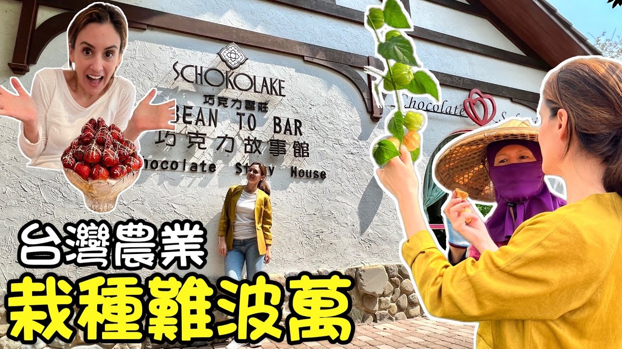 【法妞走透透】採草莓、吃巧可力、做巧克力 台灣農業栽種難波萬！🍫🍓CHOCOLATE STRAWBERRY MADE IN TAIWAN