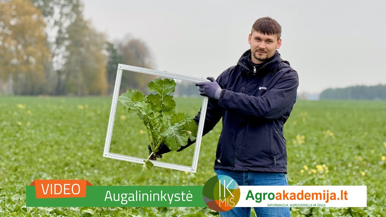 IKMIS 2024 ruduo. Pasėlių stebėjimas Biržų kra&scaron;te