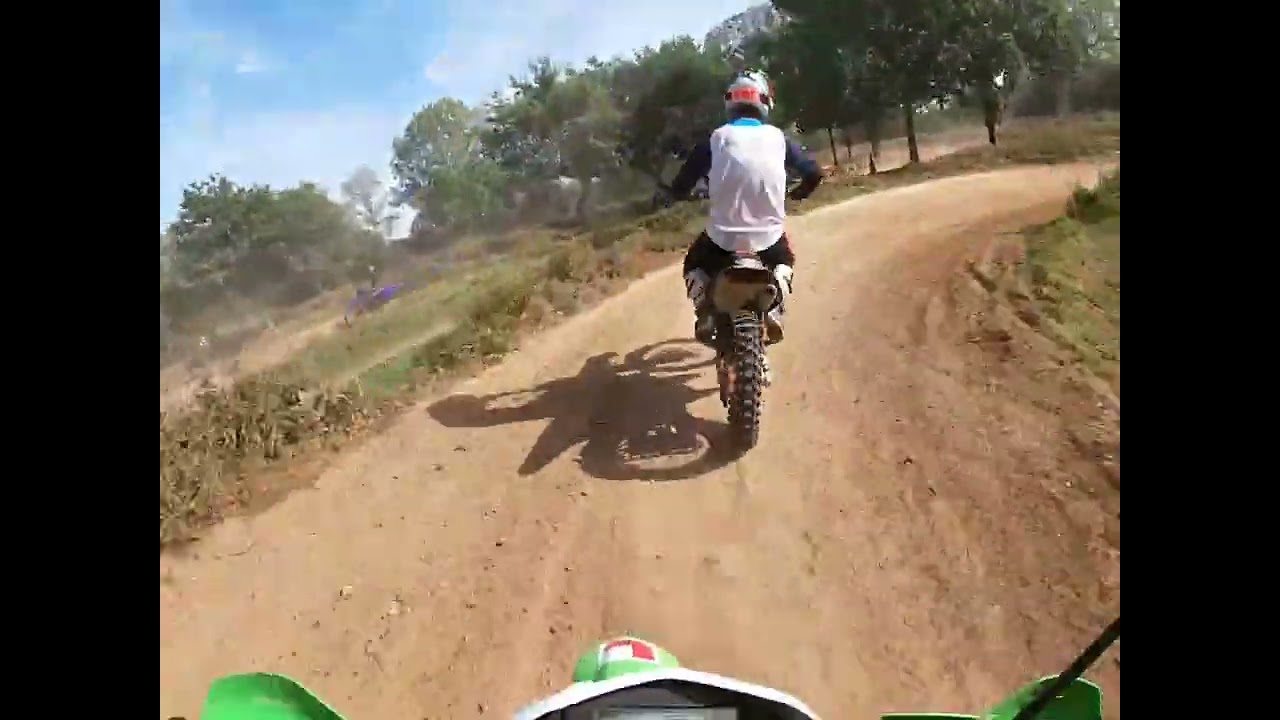 Weeley MX 2023