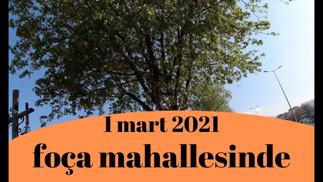 Fethiye foça mah 2