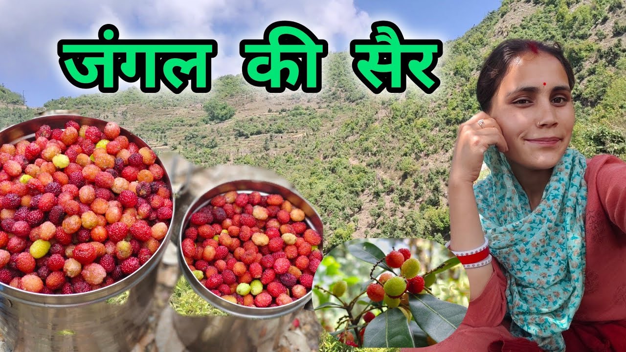 आज गई मैं पूरे 2 साल बाद अपने मायके के जंगल में। जंगल में हमको क्या मिला?/pahadi life style vlog