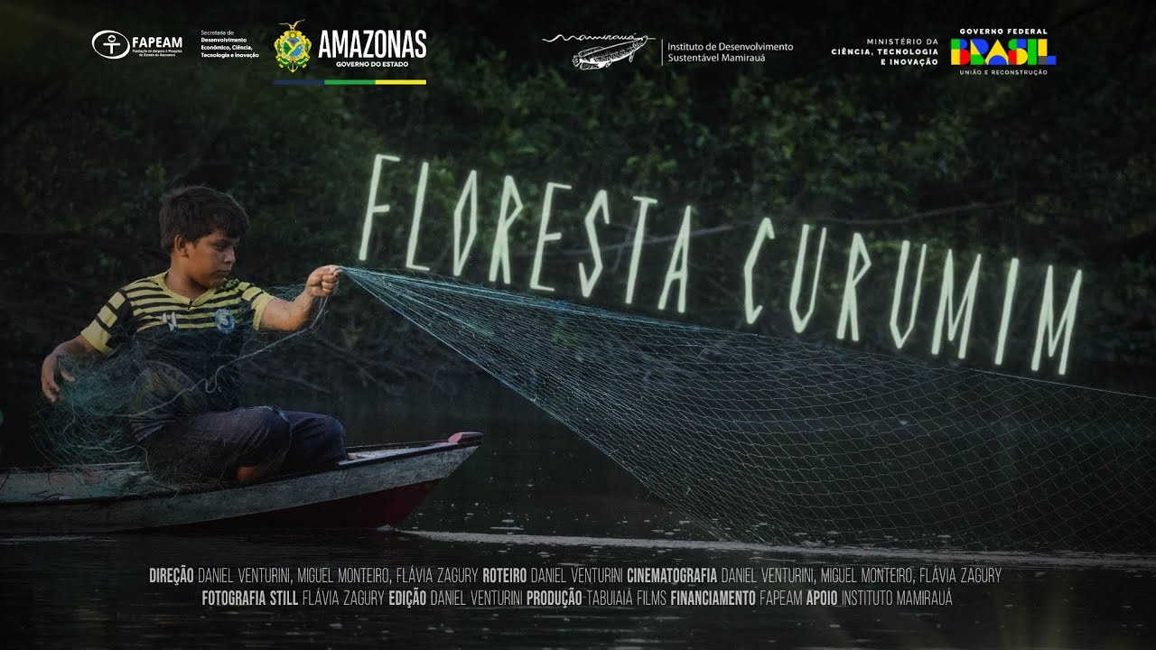 Floresta Curumim