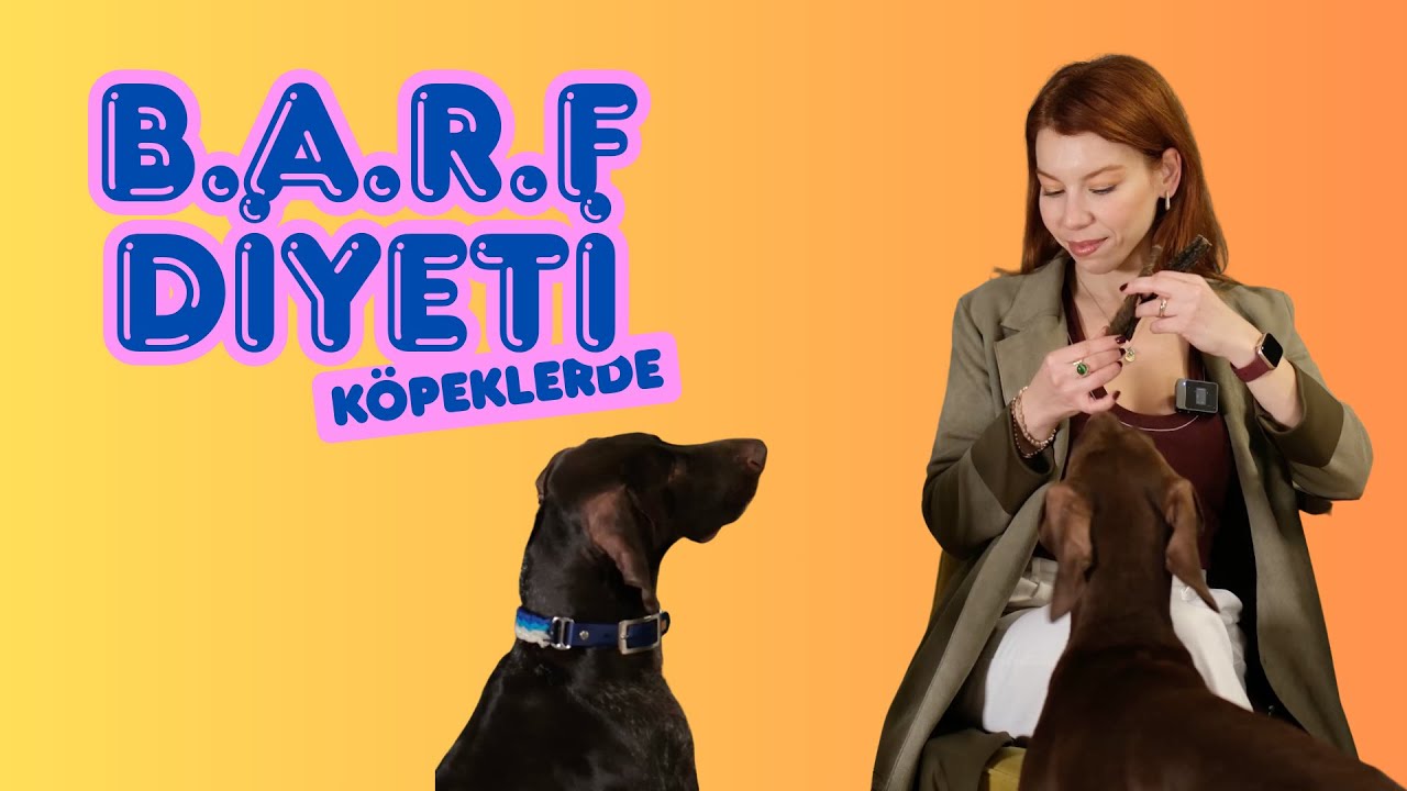 B.A.R.F BESLENME - Köpeklerde en popüler diyet!