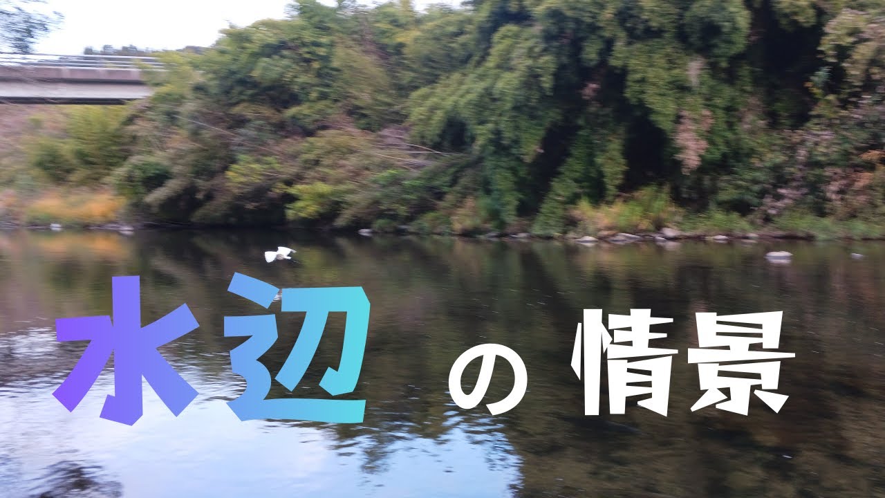 水辺の情景