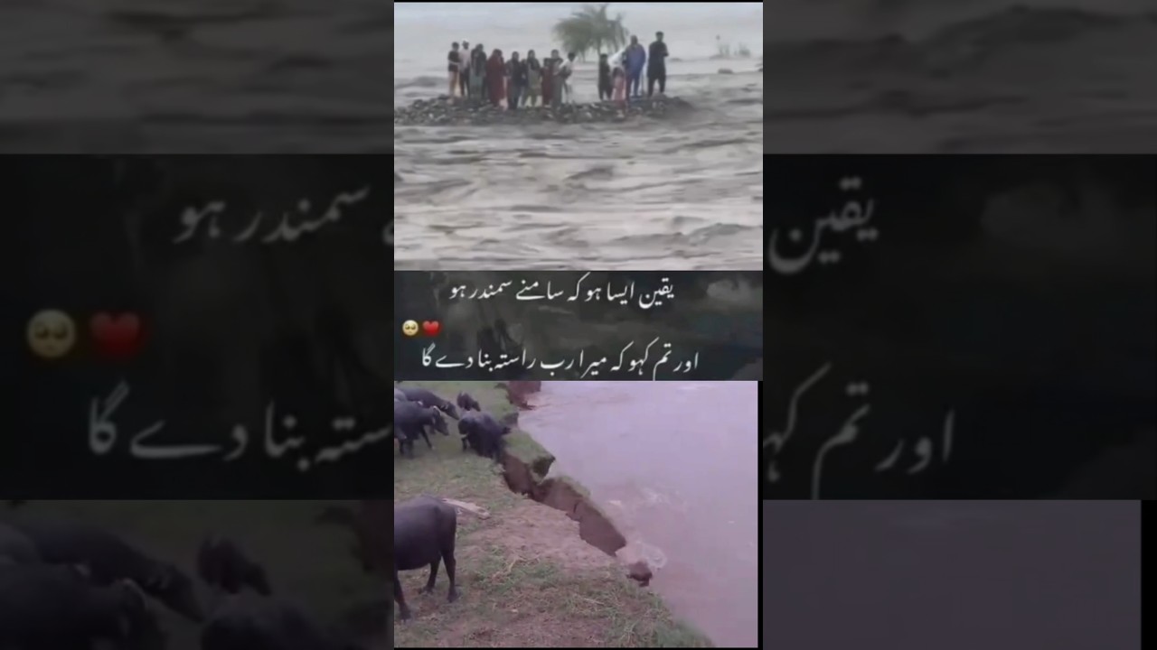 River Flood News Update |Pakistan River Flood News|